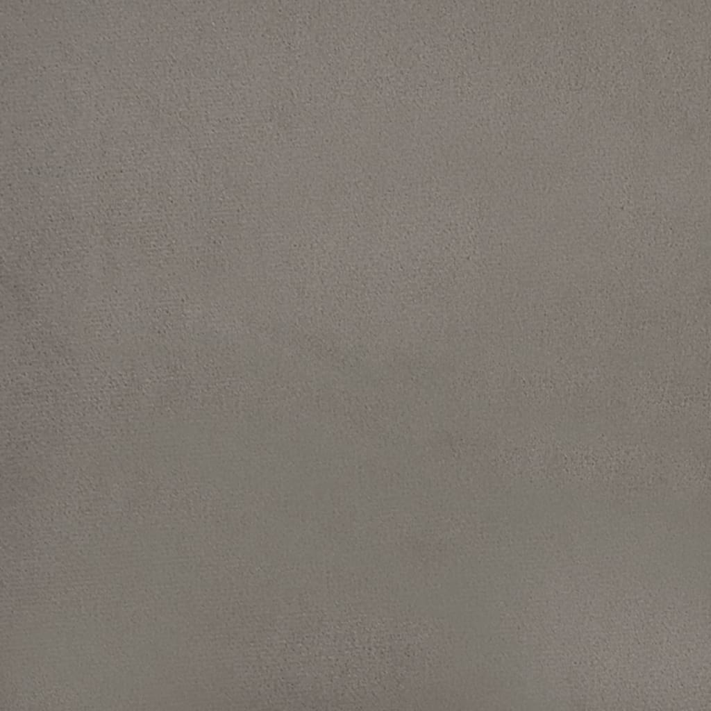 Cuscini Decorativi 2 pz Grigio Chiaro 40x40 cm in Velluto