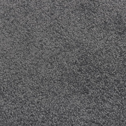 Zerbino Antracite 60x80 cm