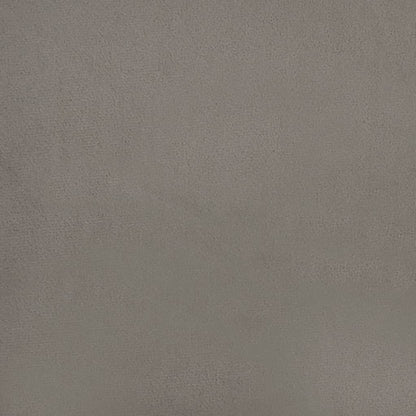 Cuscini Decorativi 2 pz Grigio Chiaro 40x40 cm in Velluto