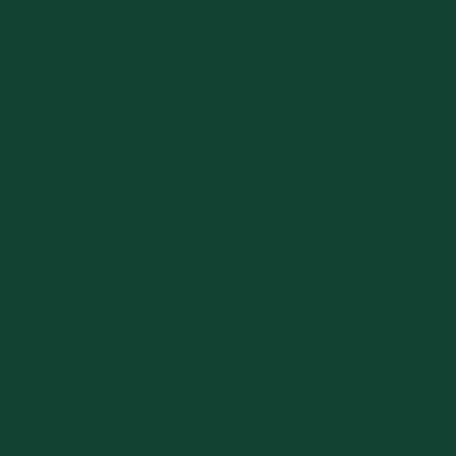 Capanno da Giardino Verde 277x93x179 cm in Acciaio Zincato