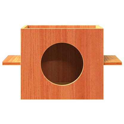 Cuccia per Gatti Marrone Cera 51x35x30cm Legno Massello di Pino